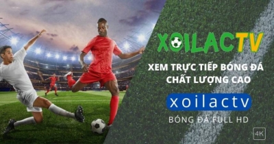 Trực tiếp bóng đá Xoilac TV - Nơi hội tụ cảm xúc tại sosmap.net